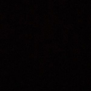 Meet your Posher, Tasha